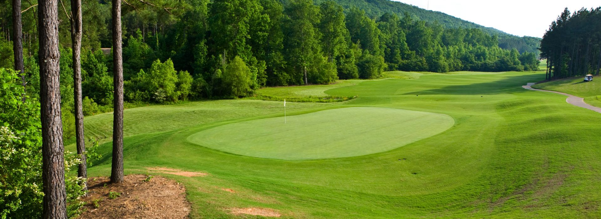 Golf course green